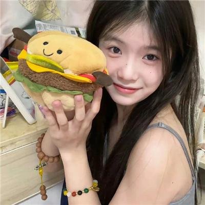 美国派2